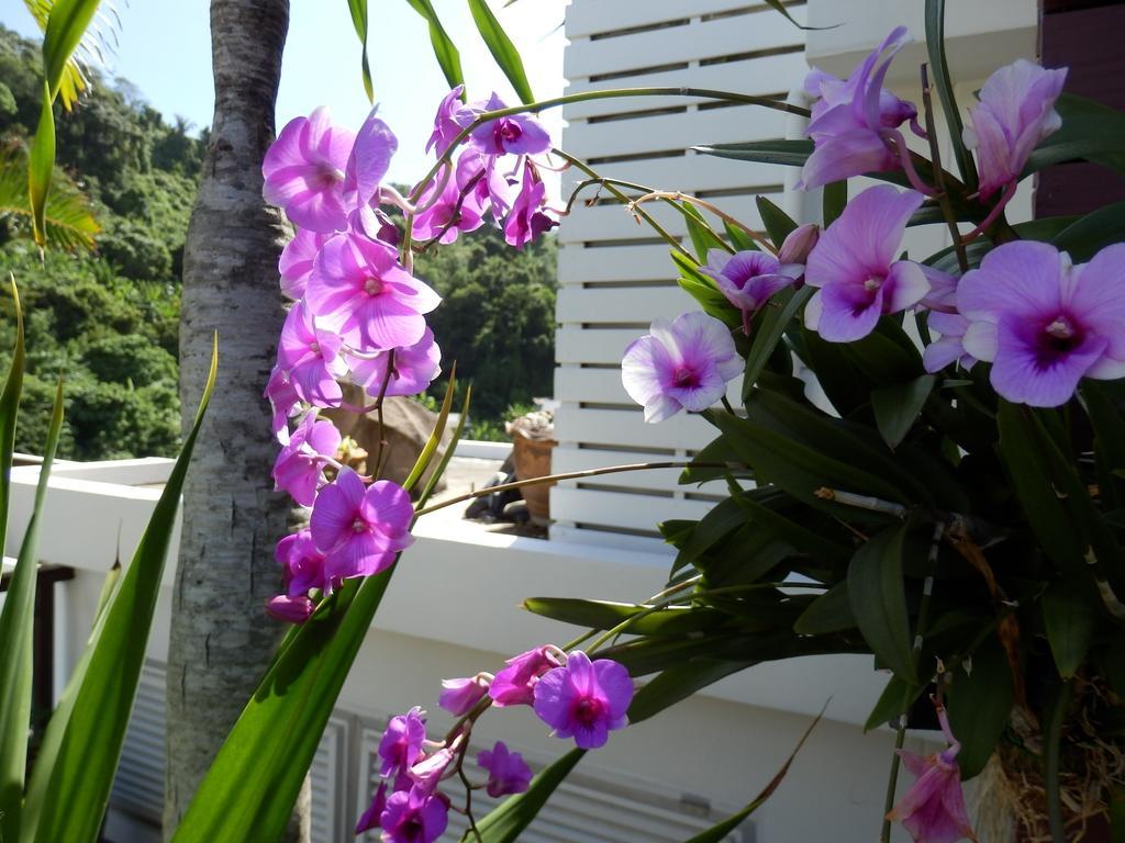 Kata Beach Studio Phuket Exteriér fotografie